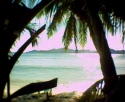 Scenery from Seychelle
